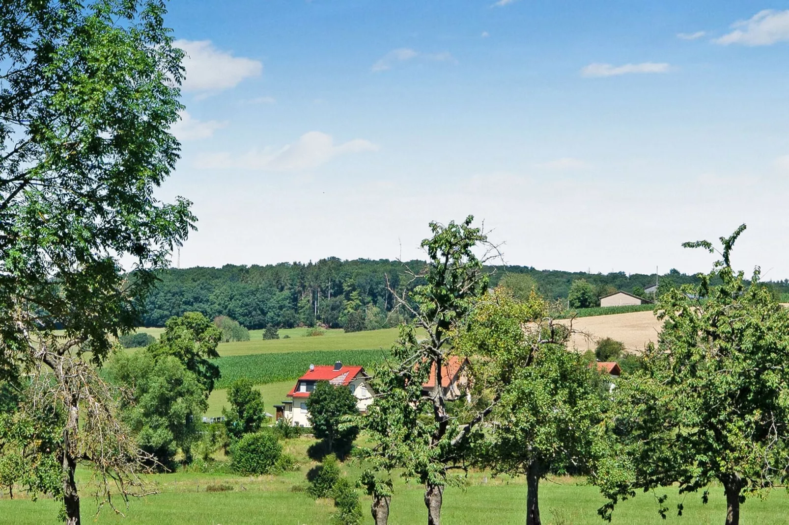Sauerland - Diemelsee-Areas within 1km in summer