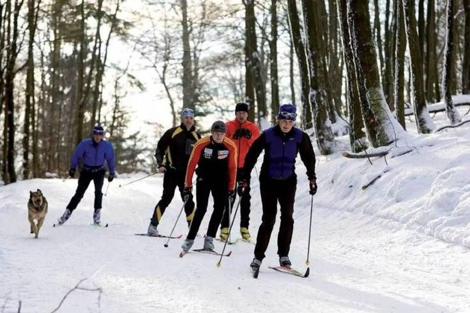 Sauerland - Diemelsee-Area within 1km in winter