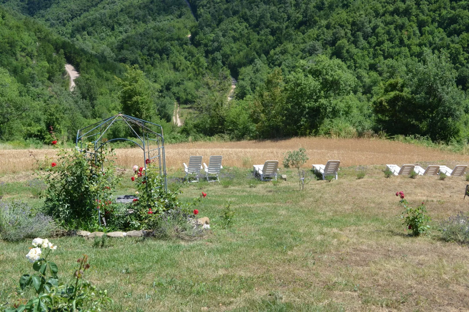 Terra-Gardens in summer