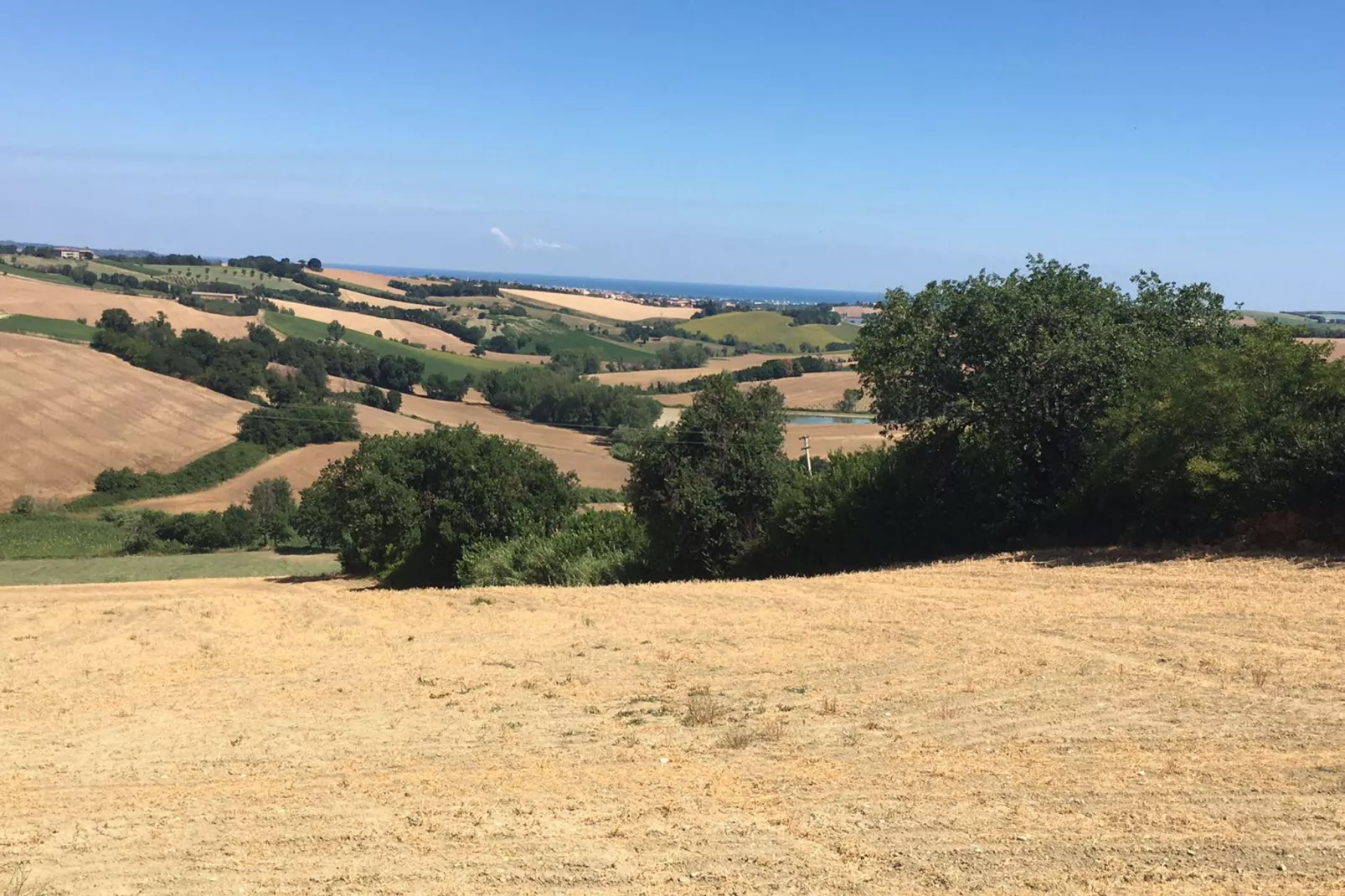 Terra-Areas within 20km in summer