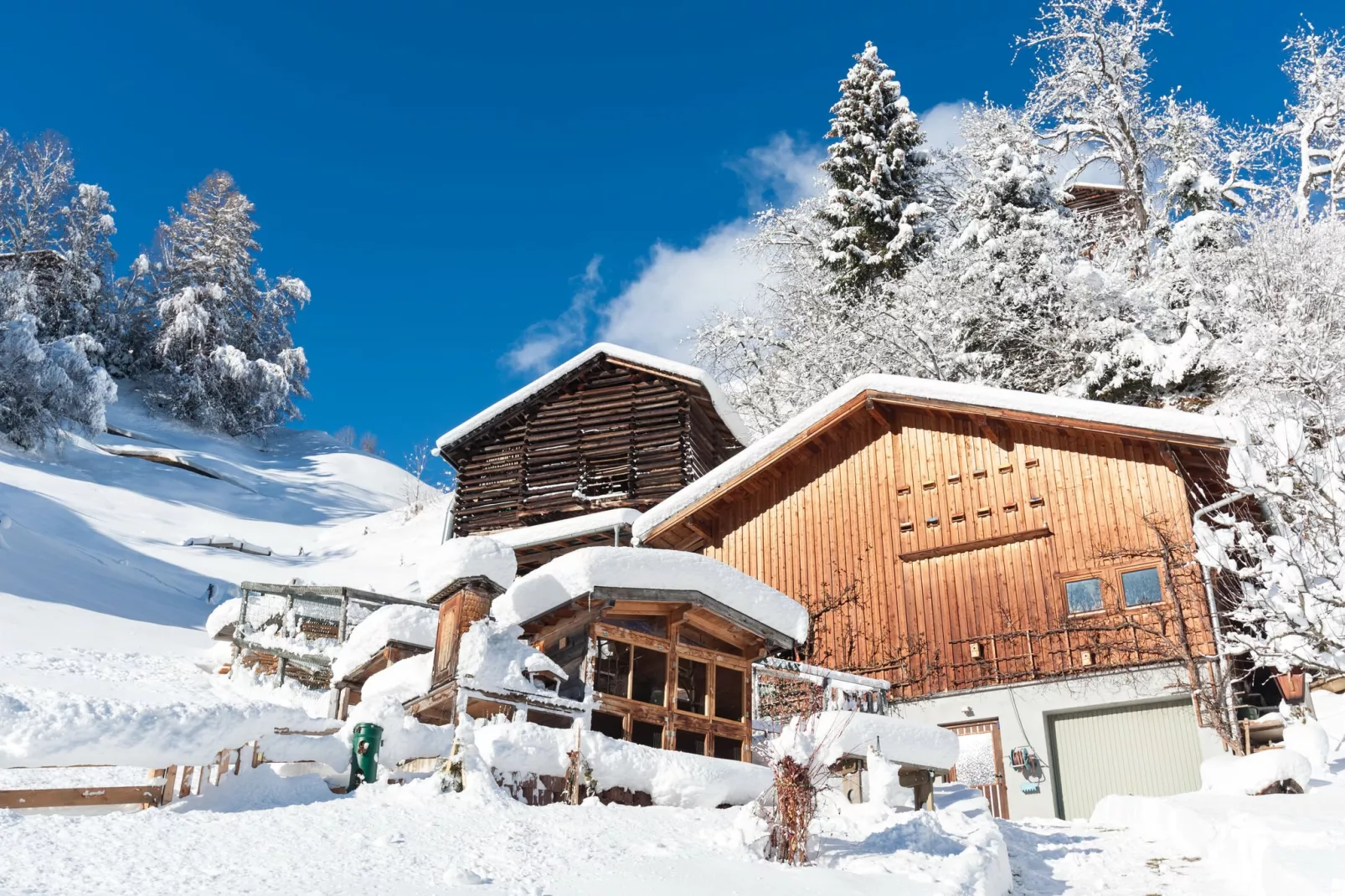 Aurora Winter & Sommer 4-5-Area winter 1km