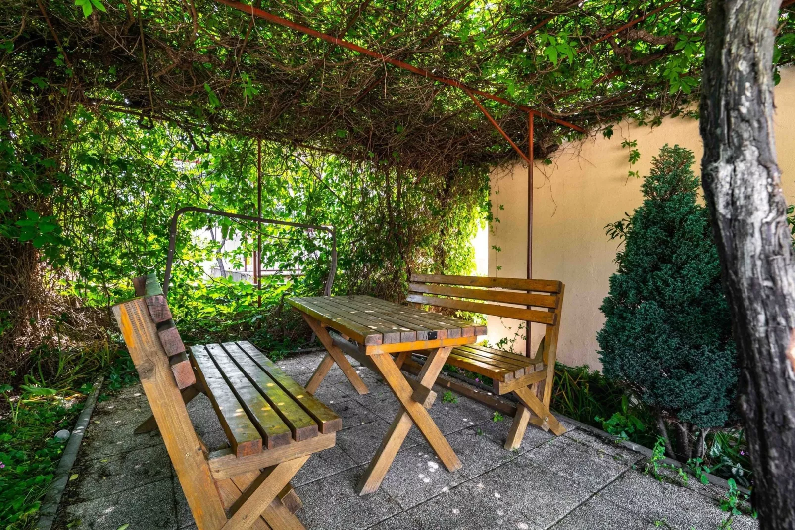 Apartments Mime 1&2-Gardens summer