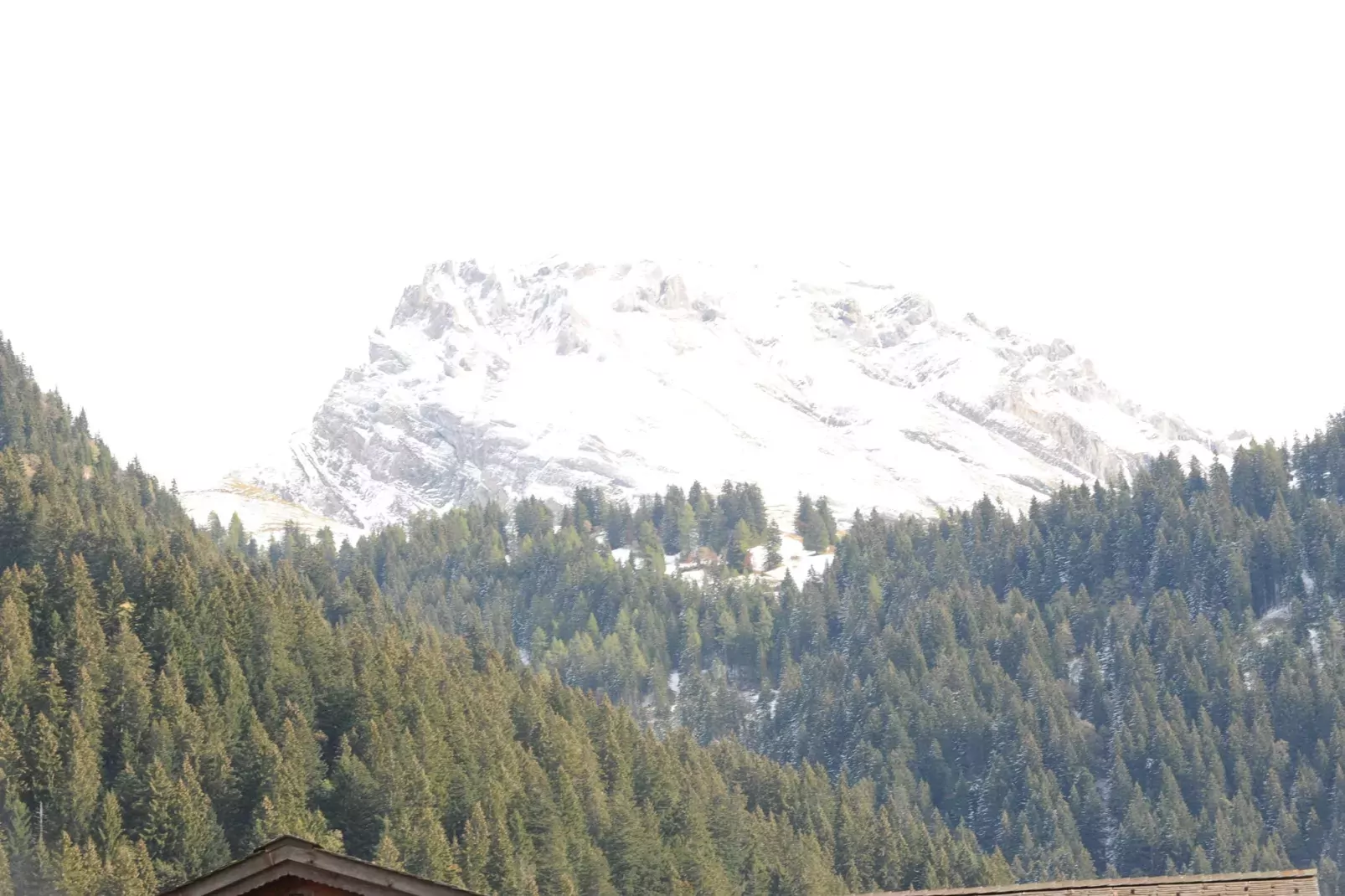 Appartement Salvisberg-View summer