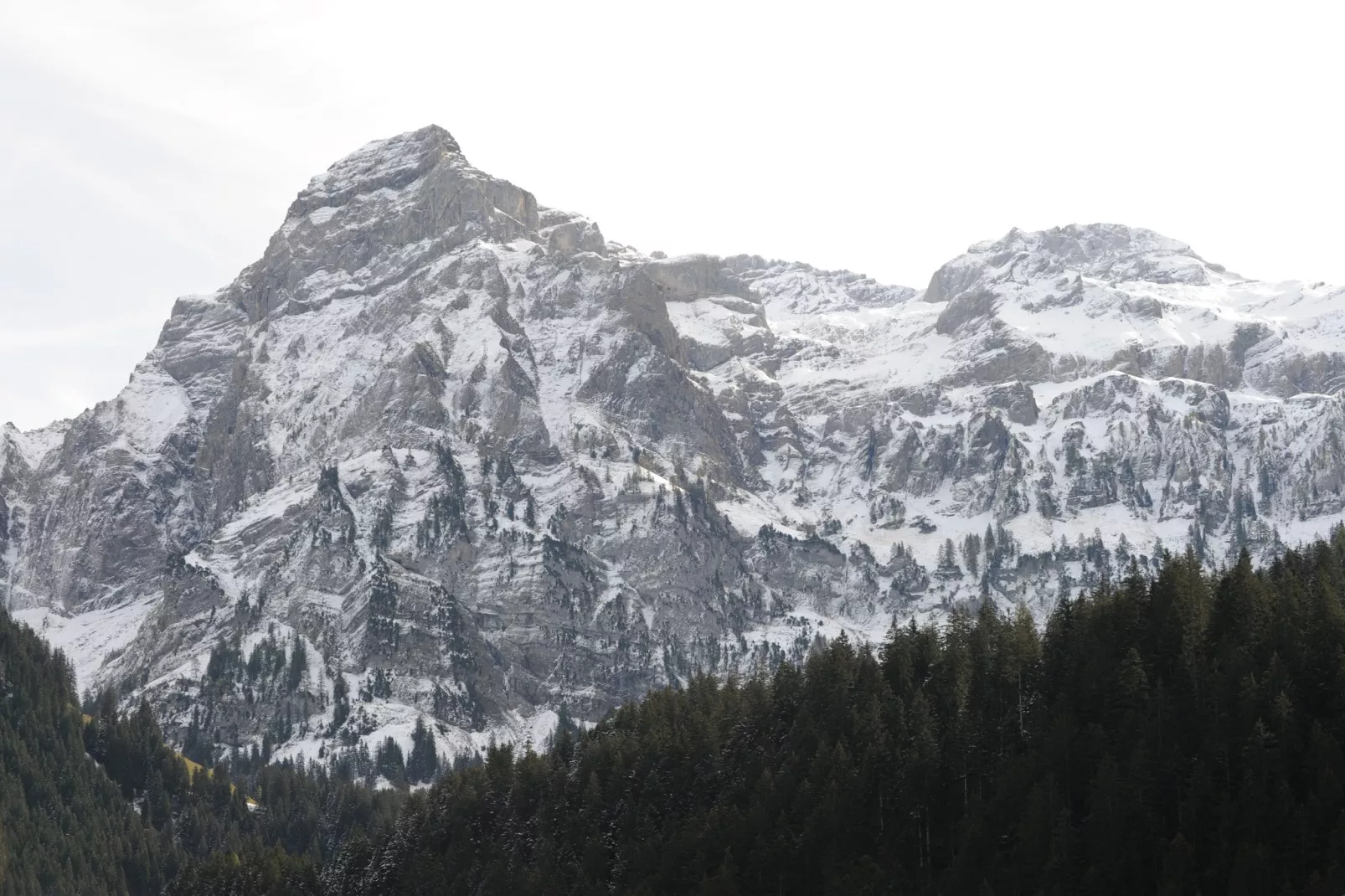 Appartement Salvisberg-View summer