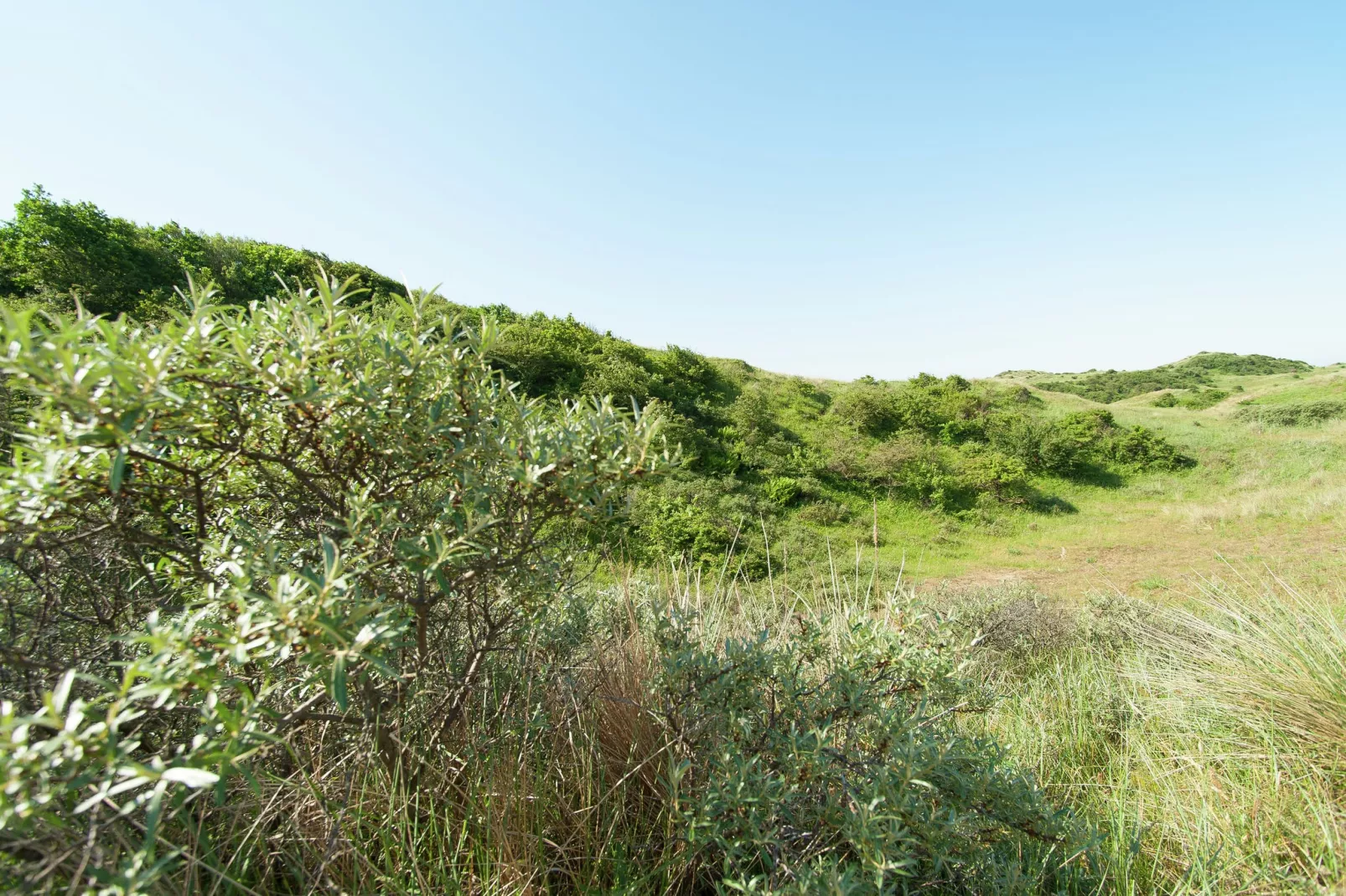Sea Lodges Bloemendaal 2-Gebiete Sommer 20 km