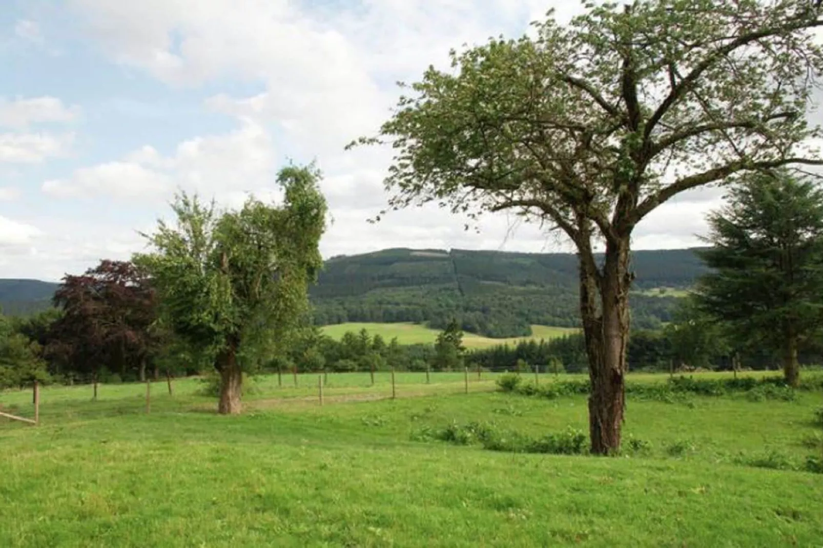 Gite de Froidcour-Aussicht Sommer