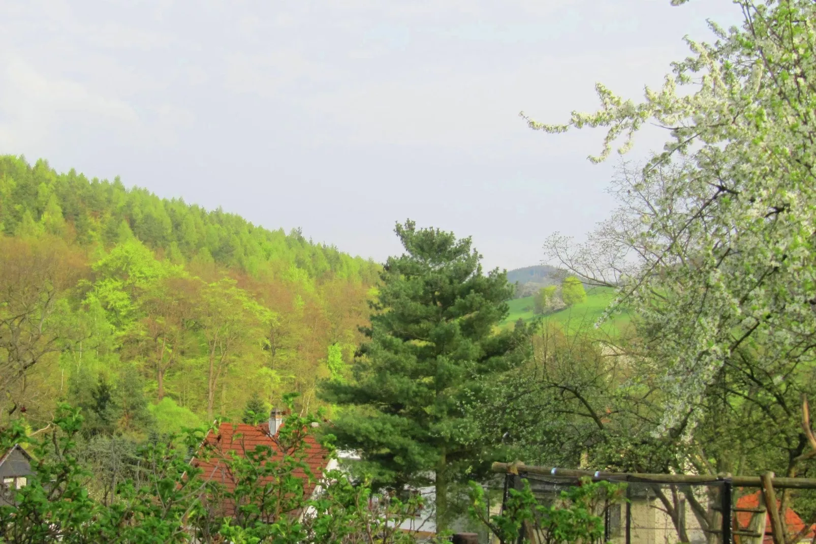 Am Sandberg-View summer