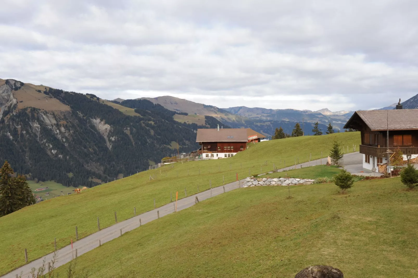 Appartement Salvisberg-Areas summer 20km