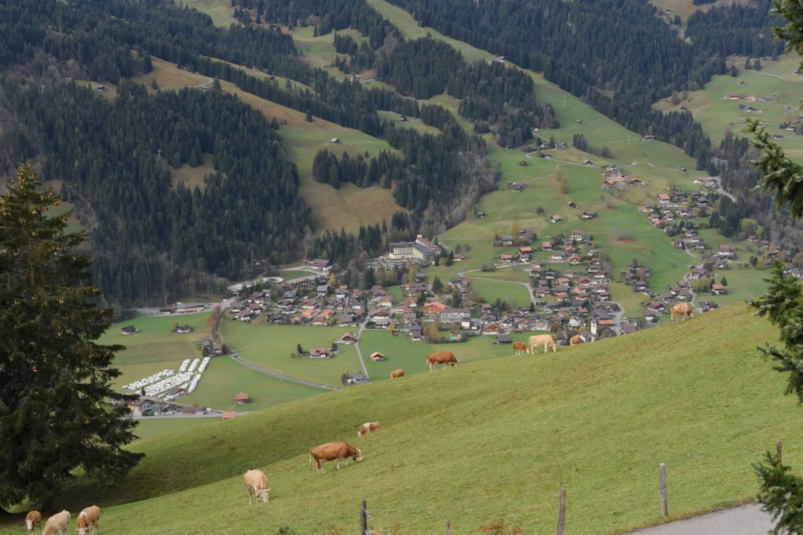 Appartement Salvisberg-Areas summer 20km