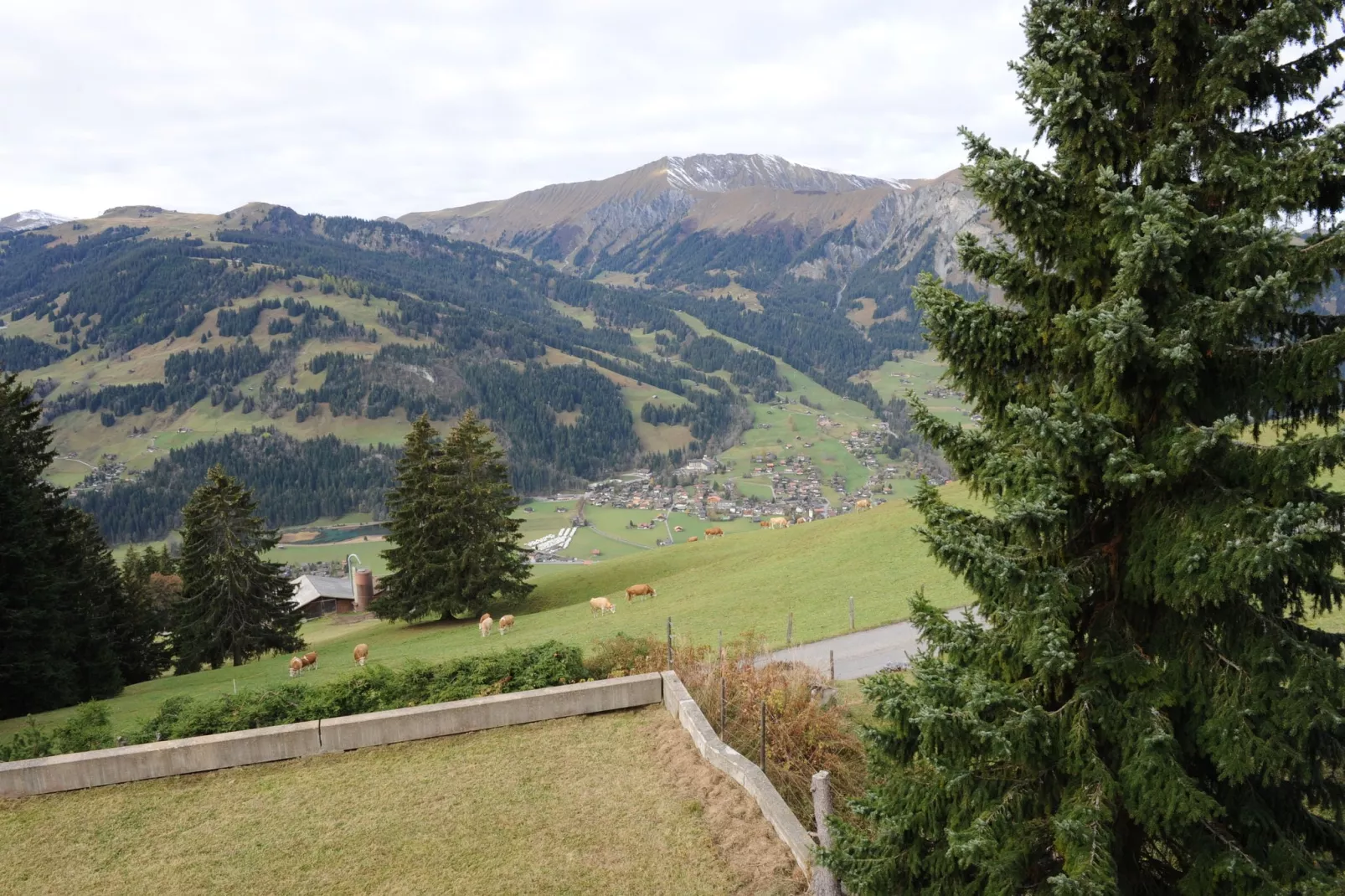 Appartement Salvisberg-Areas summer 20km