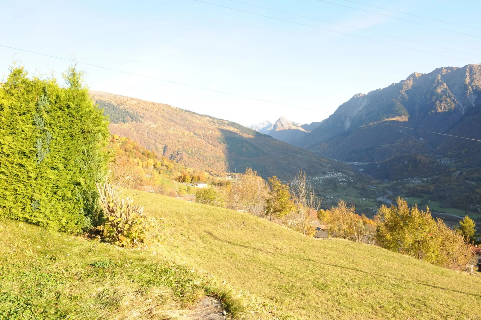 Appartement Salvisberg-Areas summer 20km