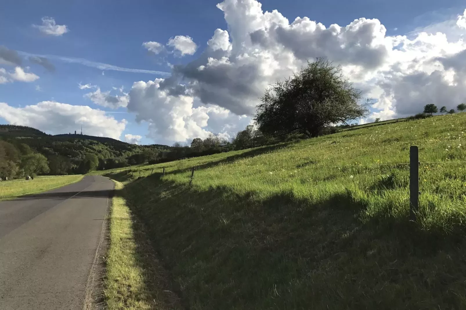Am Sandberg-Areas summer 1km