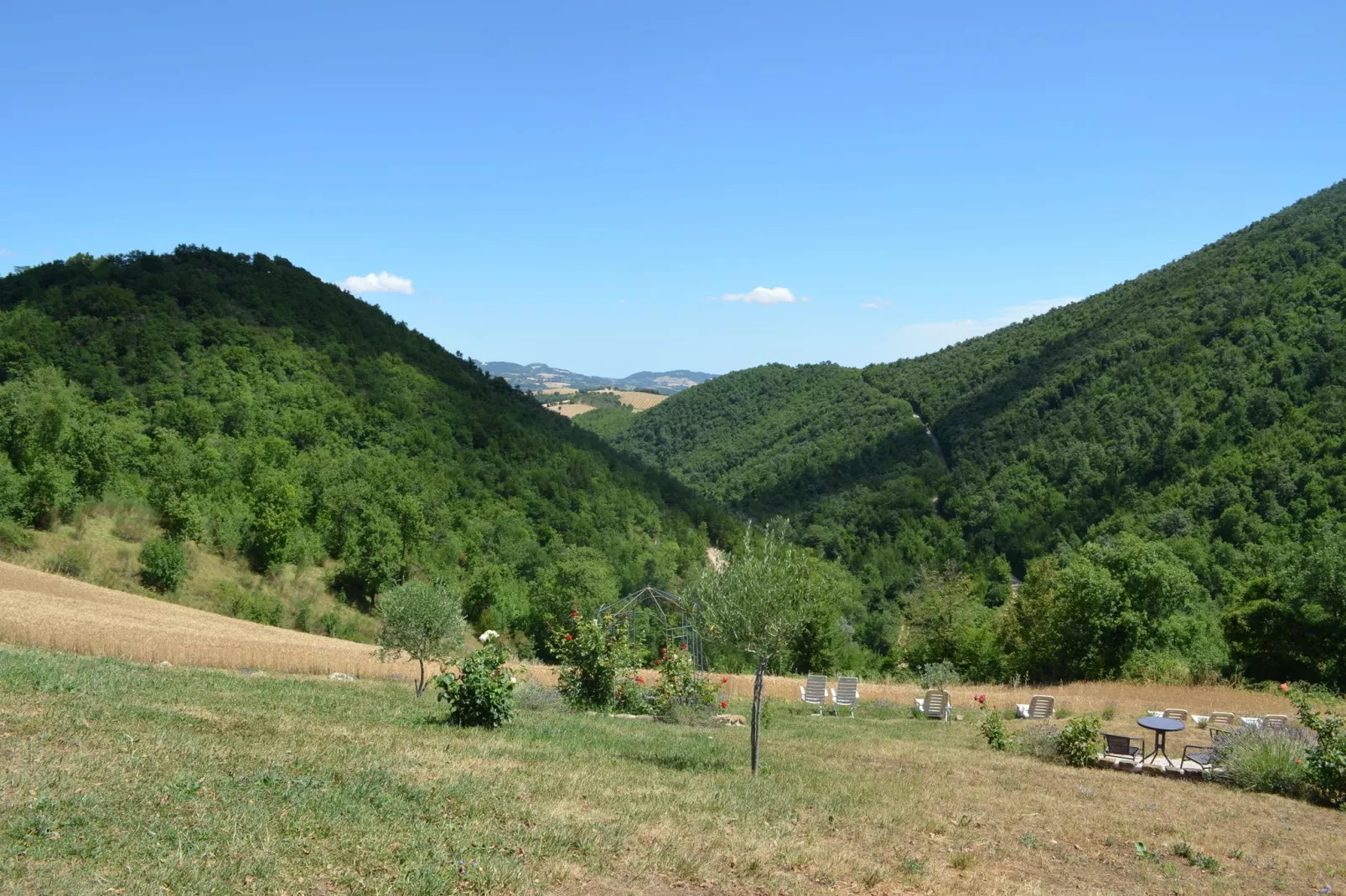 Fuoco-Garten Sommer