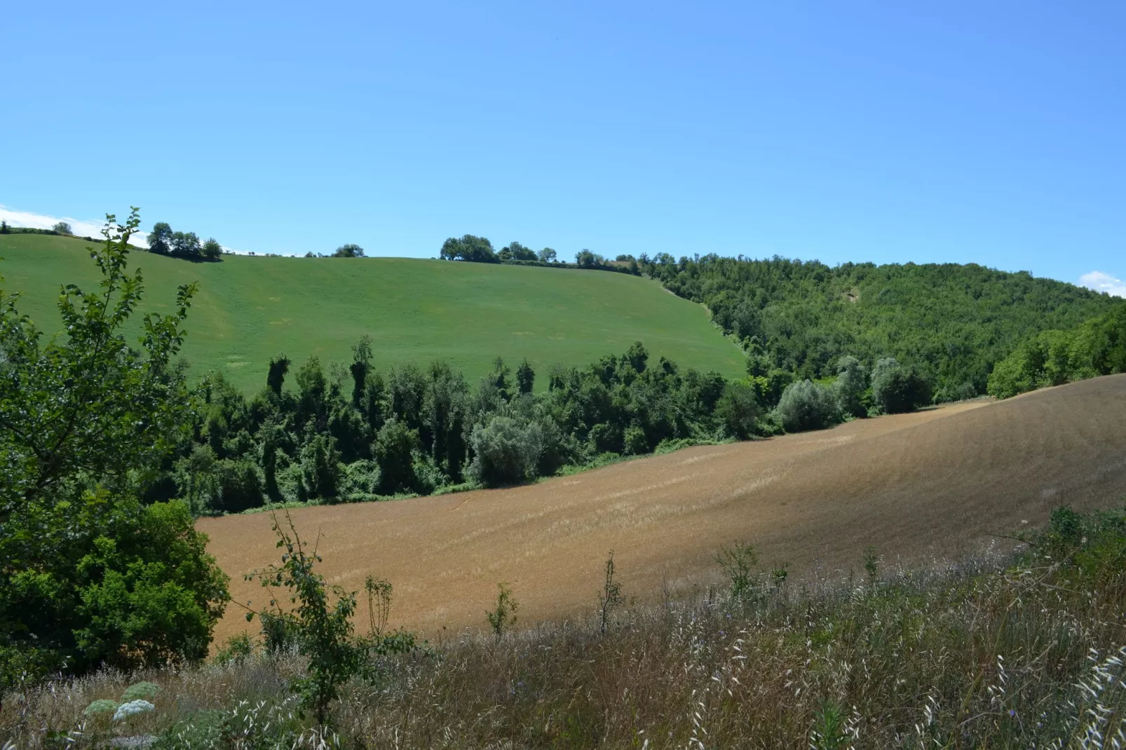 Fuoco-Aussicht Sommer
