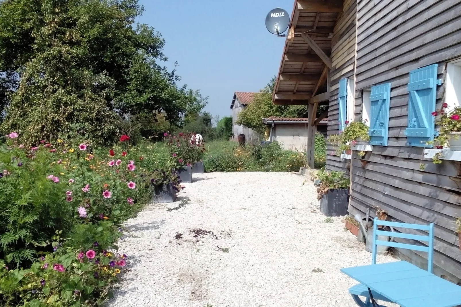 Charme-Exterior summer