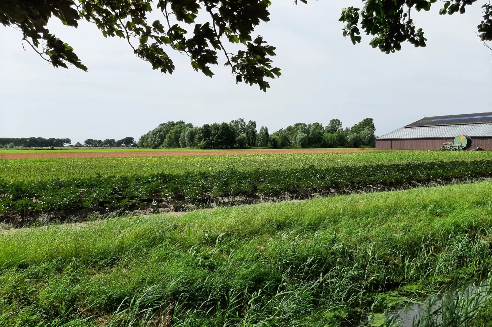 Vakantiehuis DJEZ-Areas summer 1km