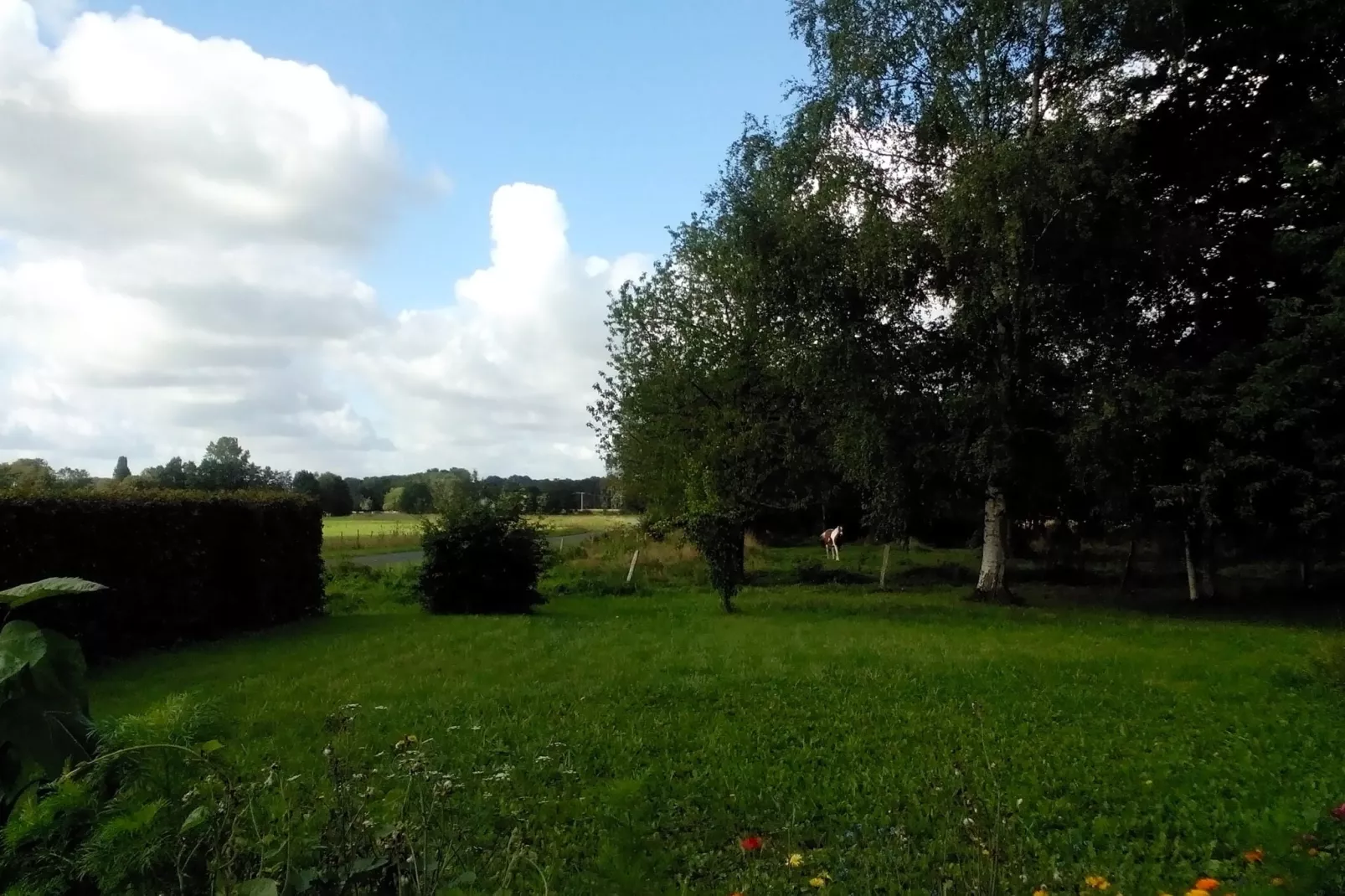 Charme-Gardens summer