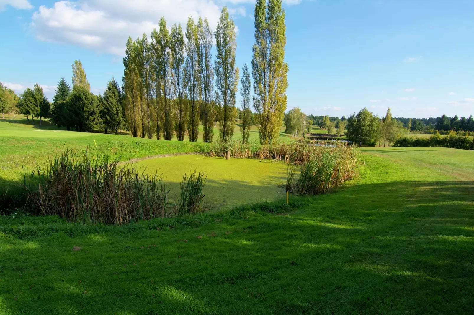 Le Castel-Areas summer 5km