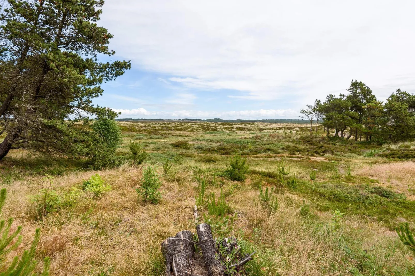 6 person holiday home in Henne