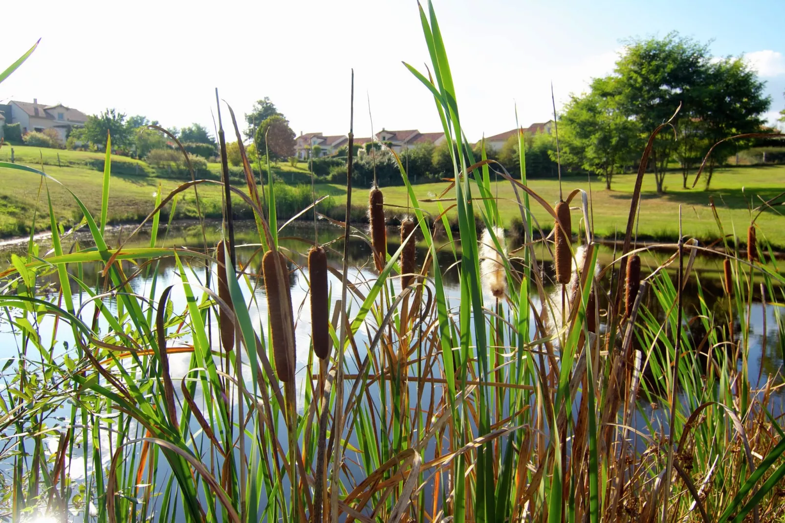 Le Castel-Areas summer 5km