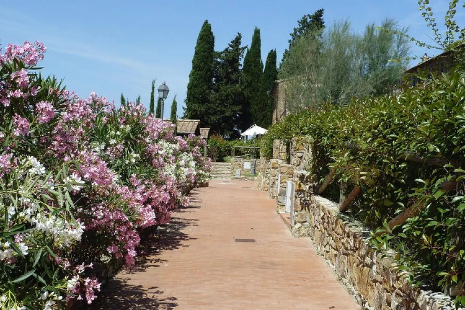 Holiday resort Antico Borgo Casalappi Campiglia Marittima - Type Trilo B- primo piano- balcone-Gardens summer