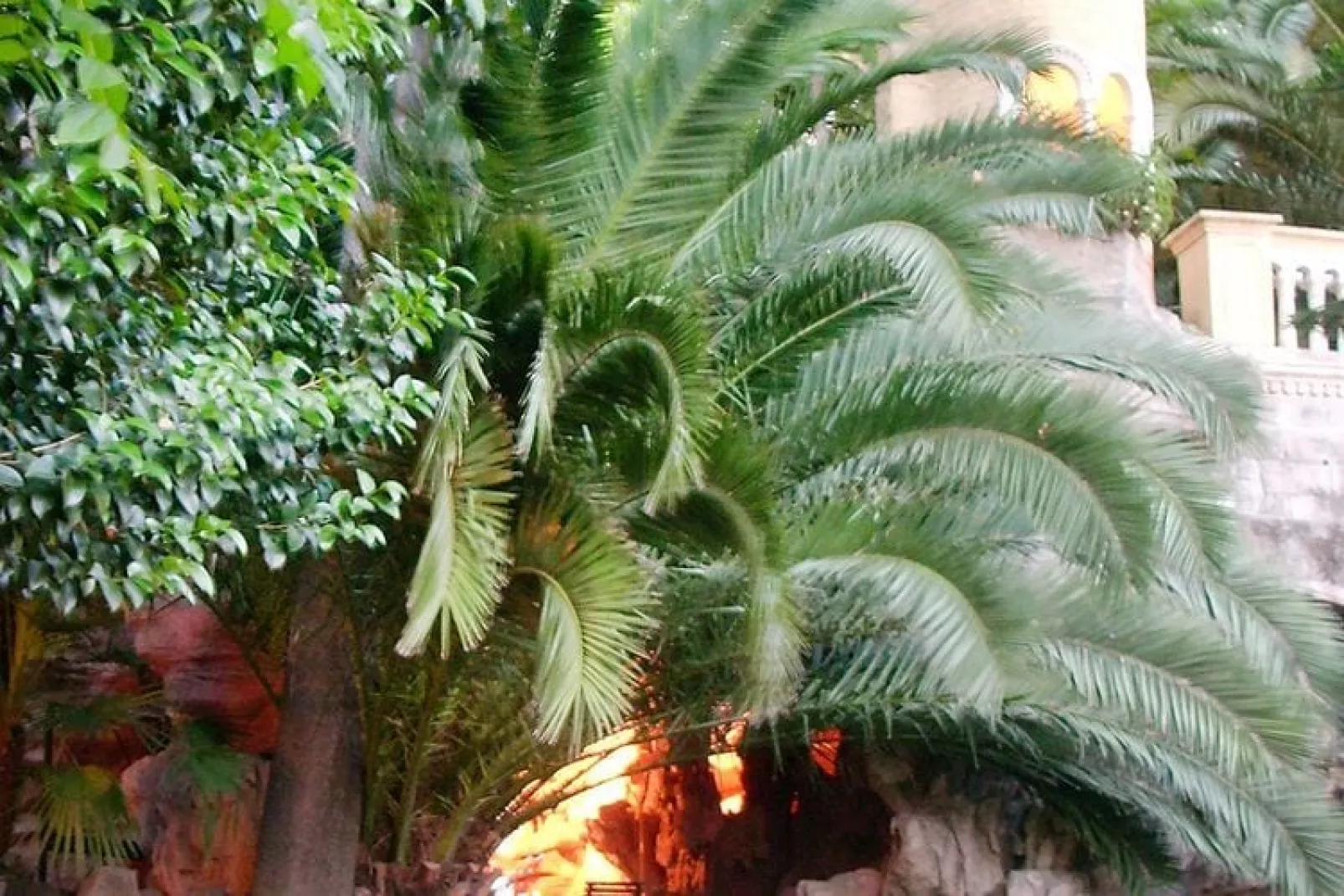 Residence Miramare Imperia M2 / A2-Gardens summer
