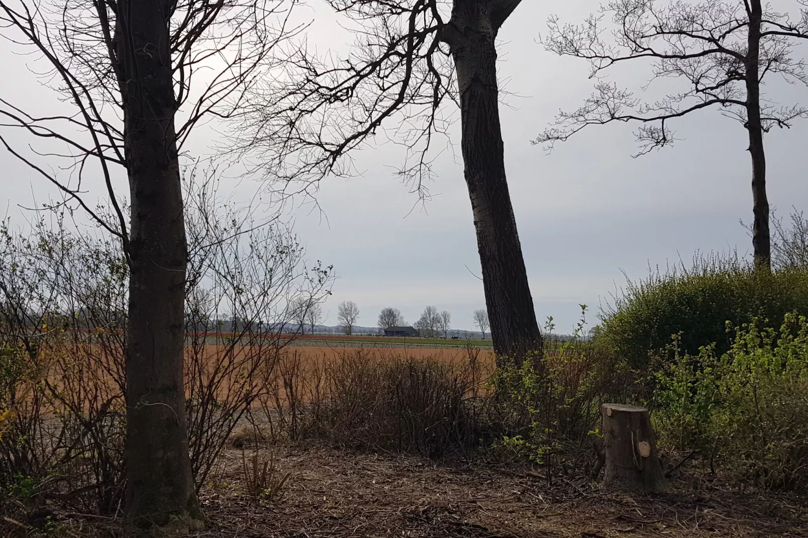 Vakantiehuis De Weide Blick-Gardens summer