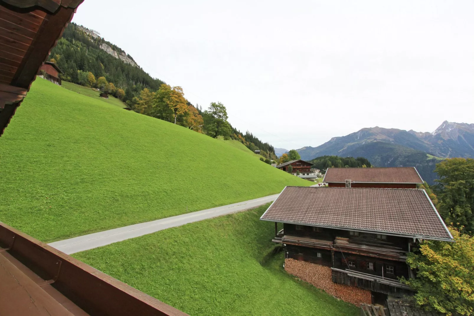 Honsnerhof-View summer