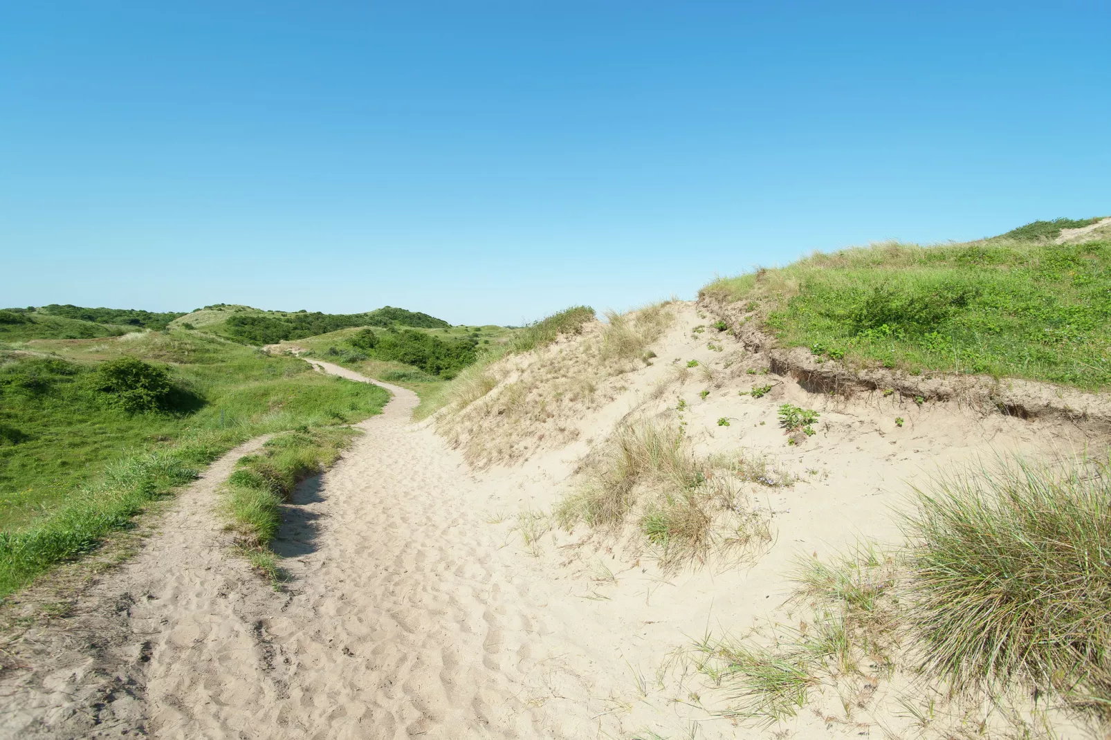 Sea Lodges Bloemendaal 4-Areas summer 20km