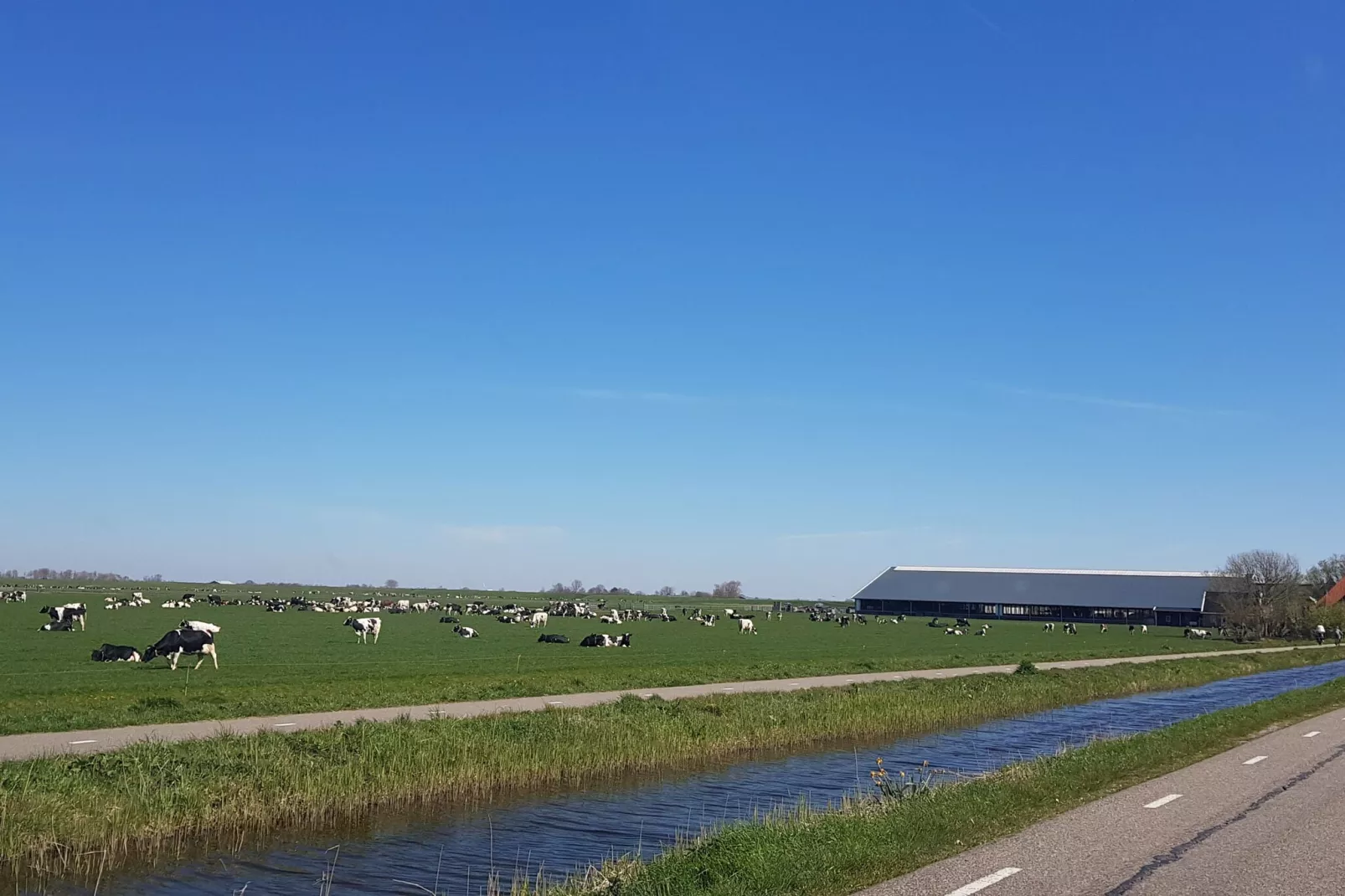 Vakantiehuis De Weide Blick-Area winter 1km