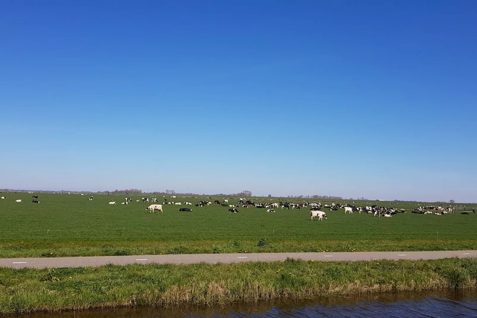 Vakantiehuis De Weide Blick-Areas summer 5km
