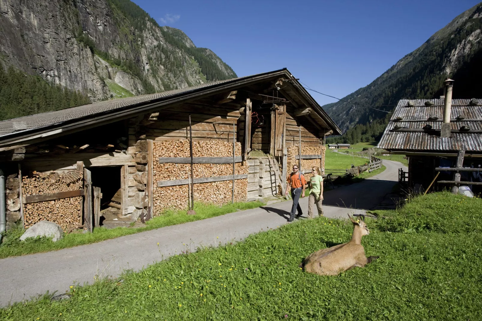Honsnerhof-Areas summer 5km