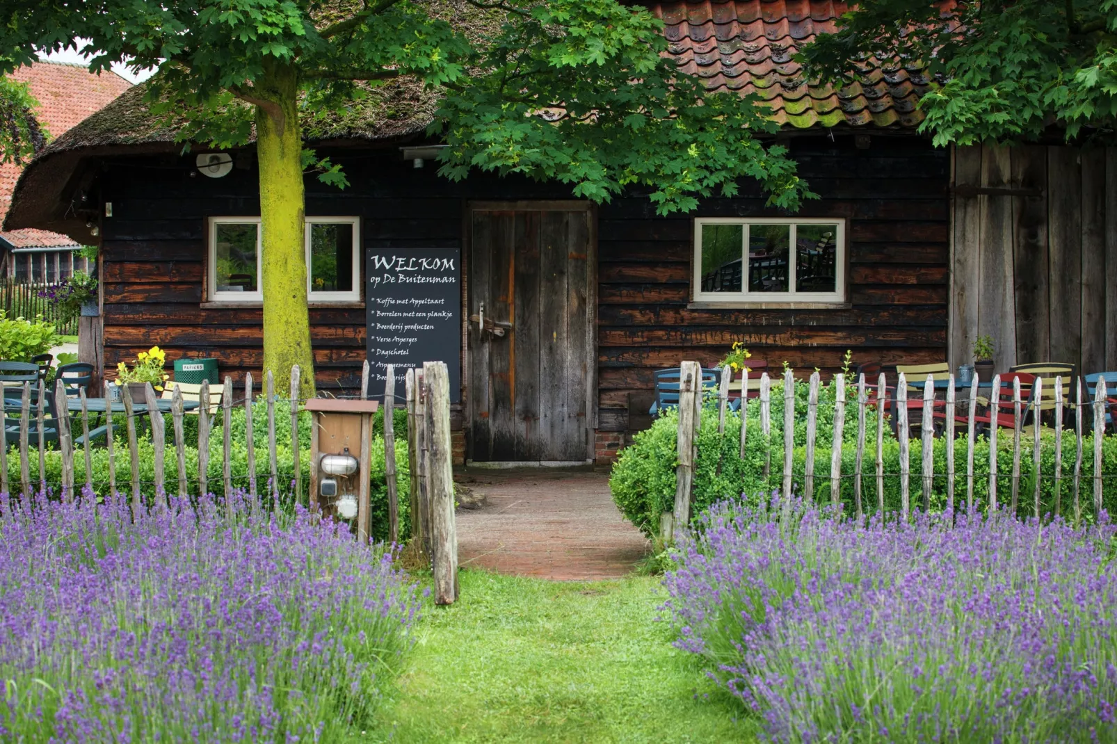 Landhoeve buitenman-Gardens summer