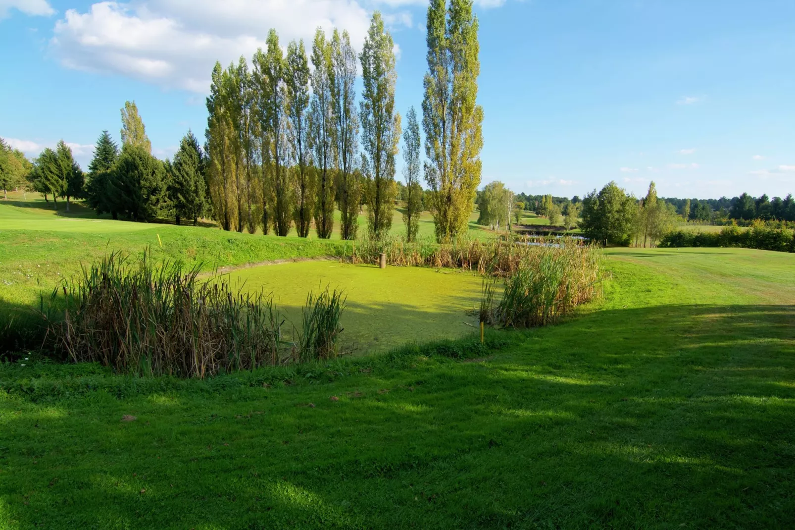 La Belle Cour-Areas summer 5km