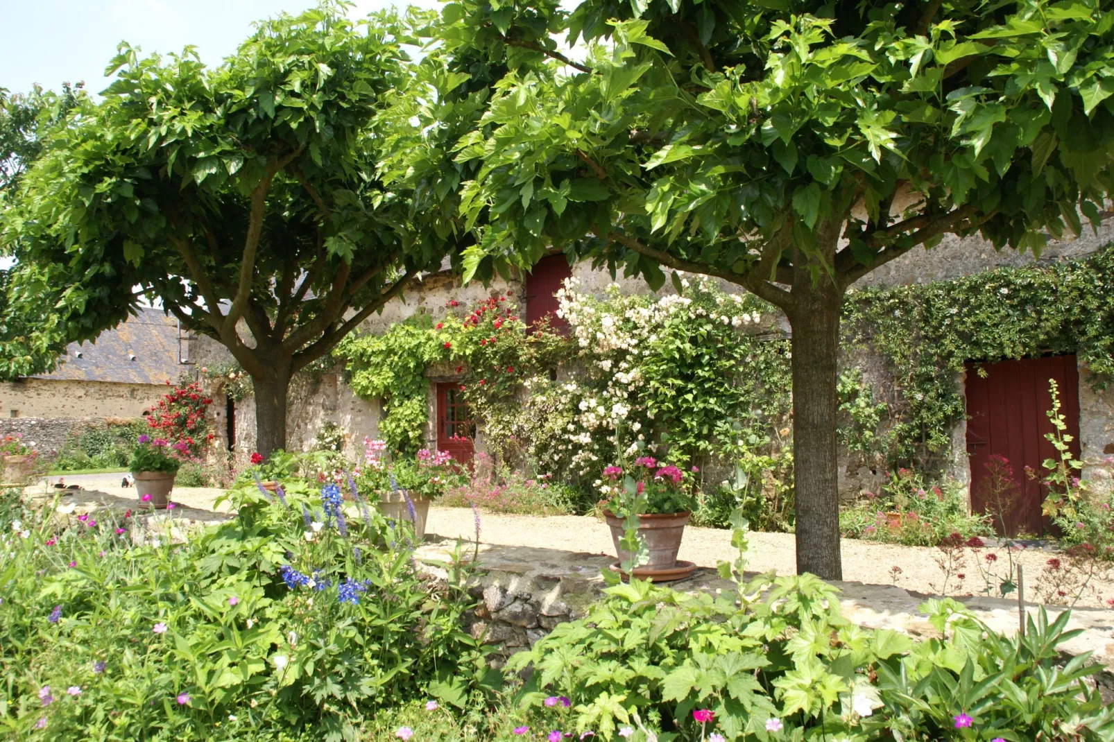 Maison de vacances St Laurent des Mortiers-Gärten Sommer