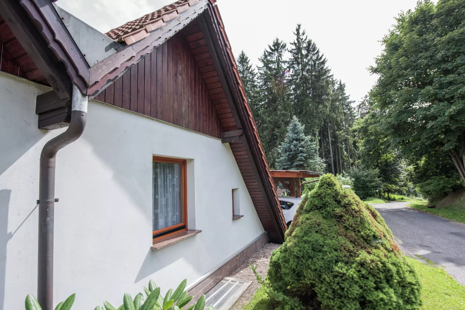 Ferienhaus im Thüringer Wald-Exterior summer