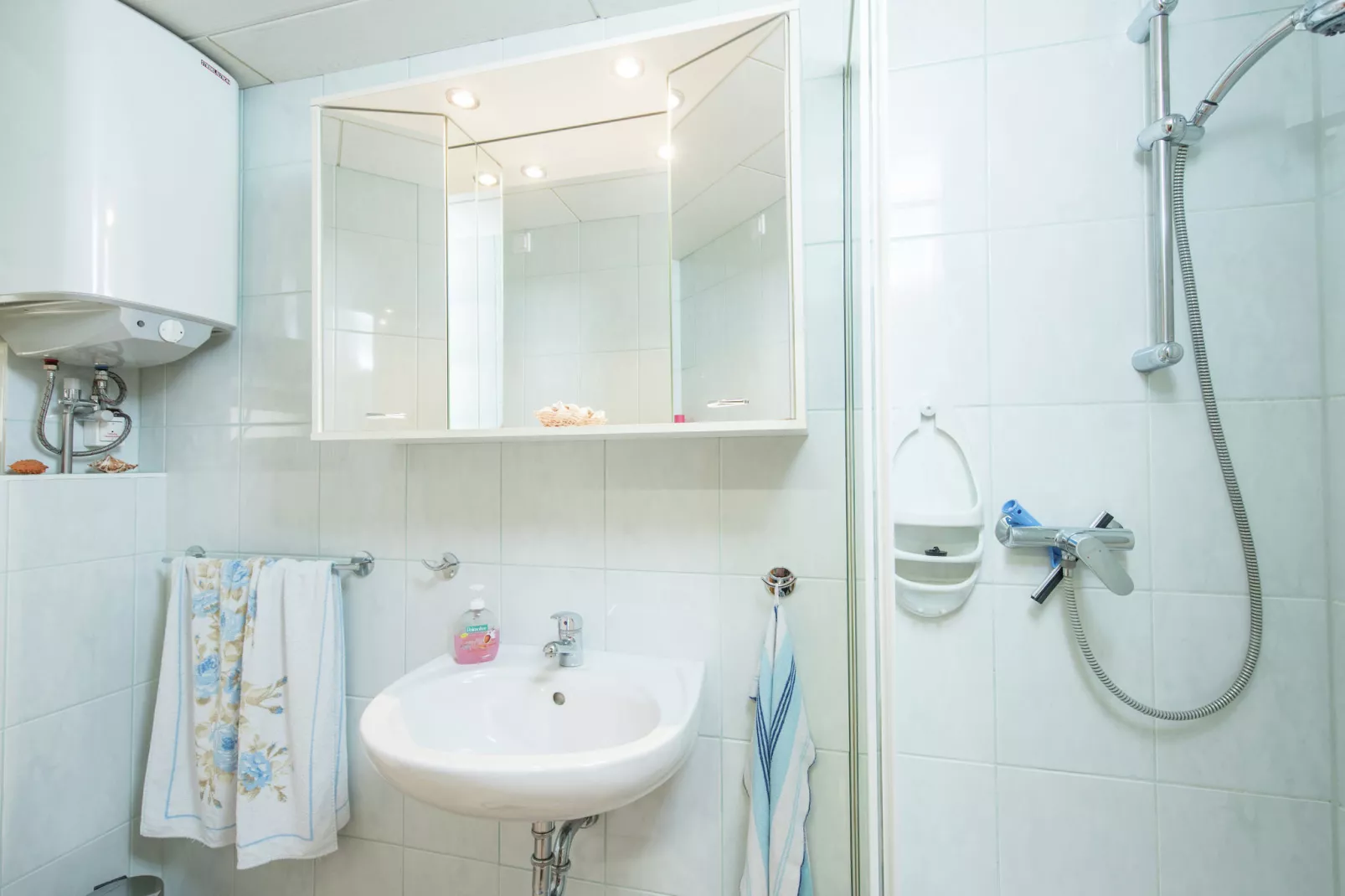 Ferienhaus im Thüringer Wald-Bathroom
