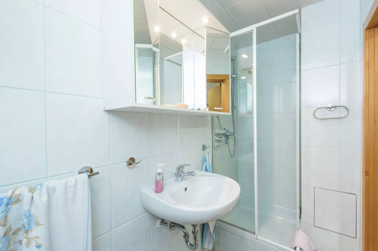 Ferienhaus im Thüringer Wald-Bathroom