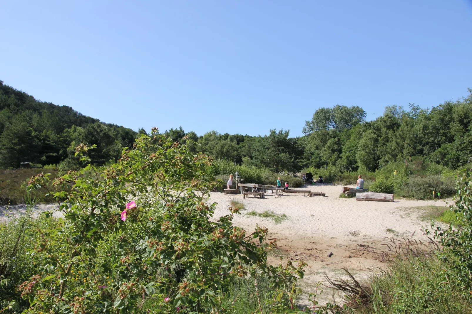 Scoreldame 8-persoons-Areas summer 1km