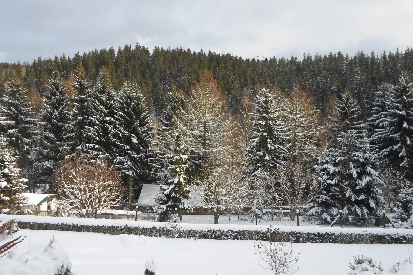 Ferienhaus im Thüringer Wald-View winter