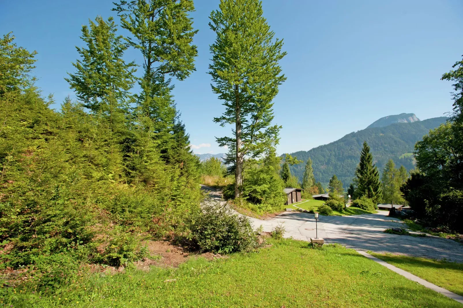 Chalet Catharina im Brixental-Aussicht Sommer
