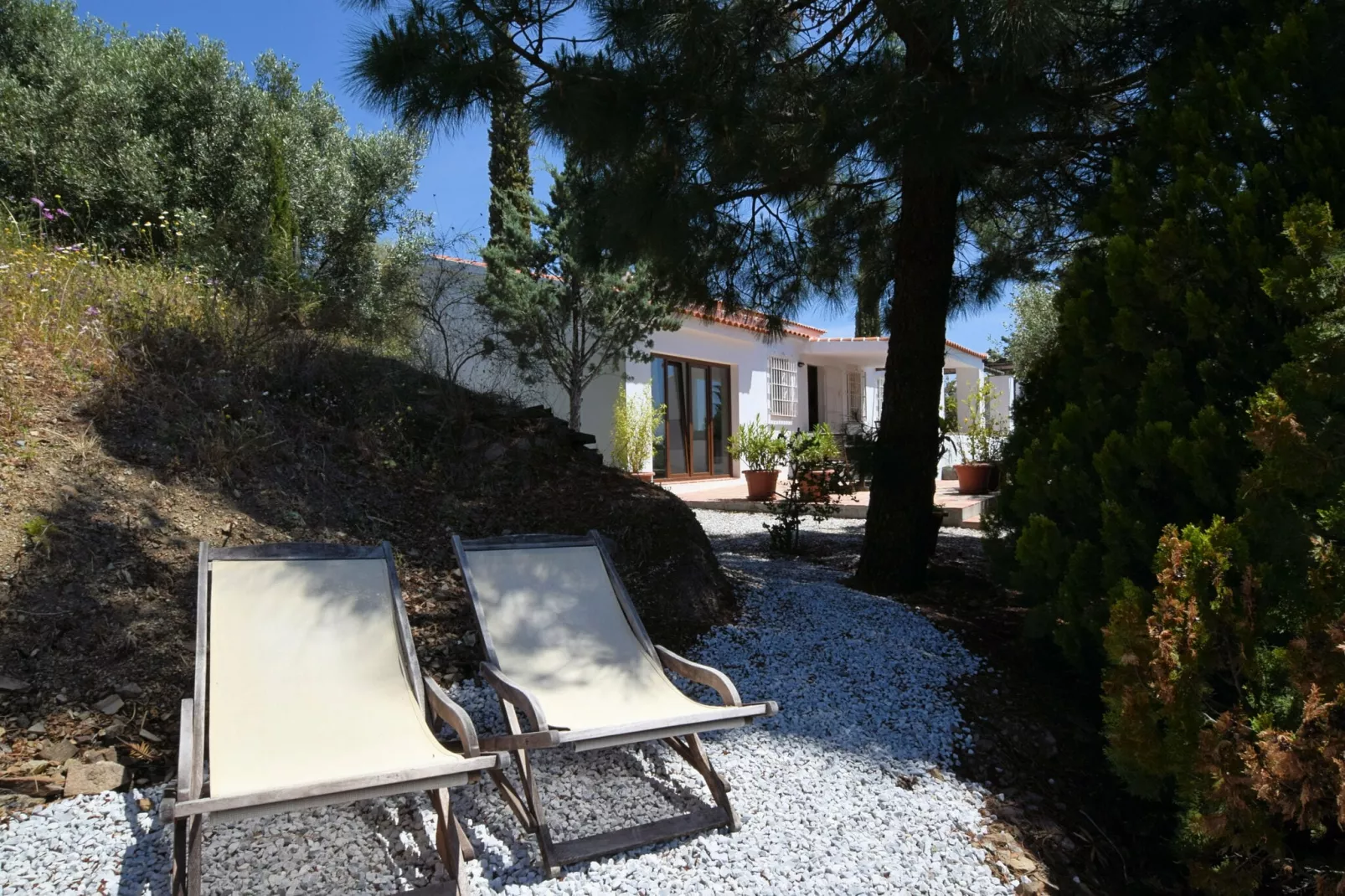 Villa Aurora-Gardens summer