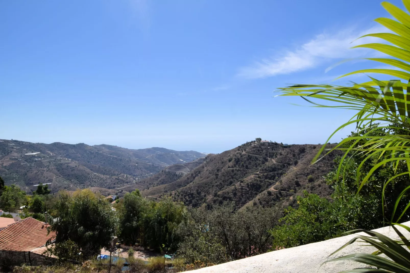 Villa Aurora-View summer