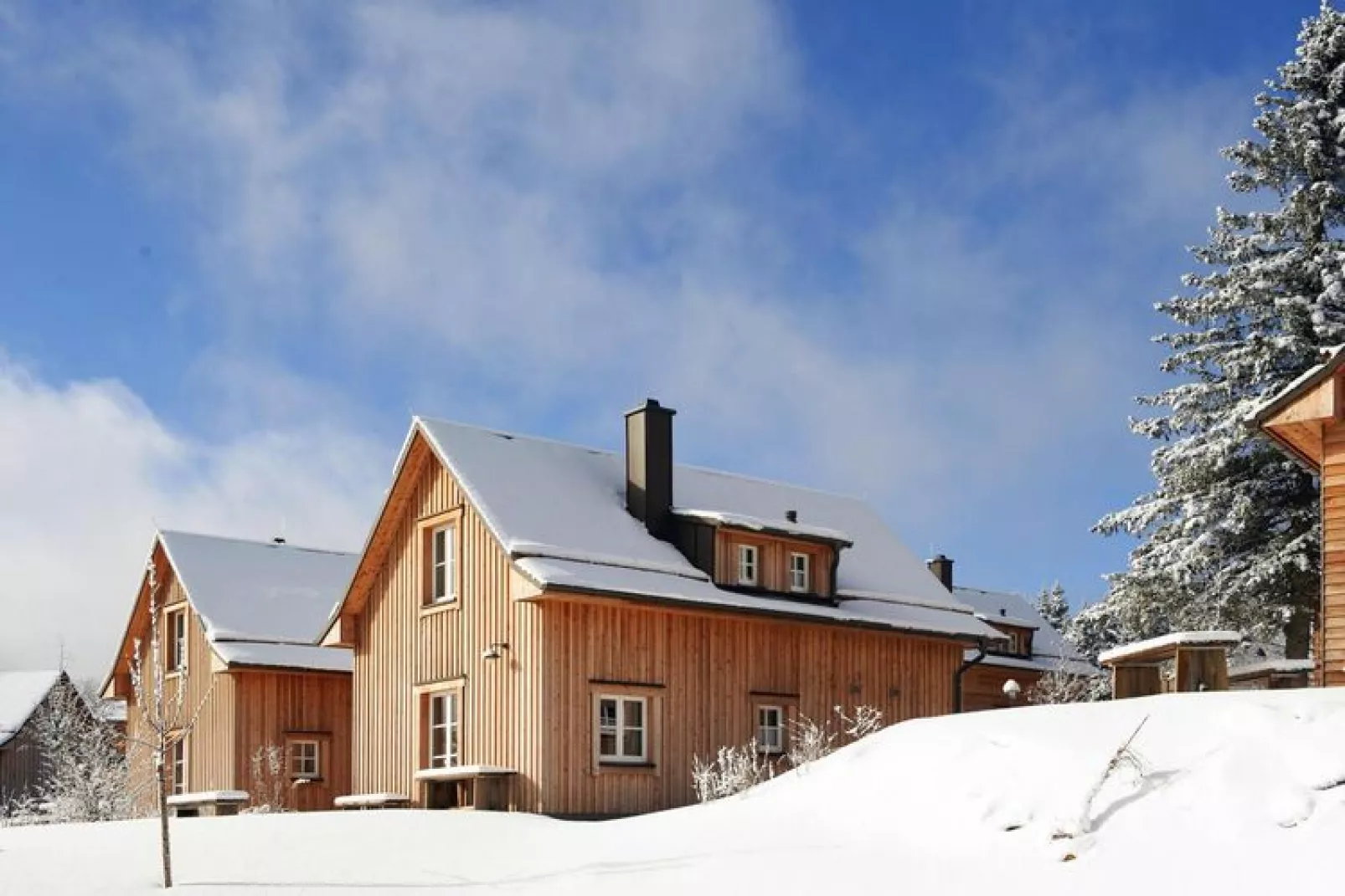 Exklusive Lodge 6  Personen-Exterior winter