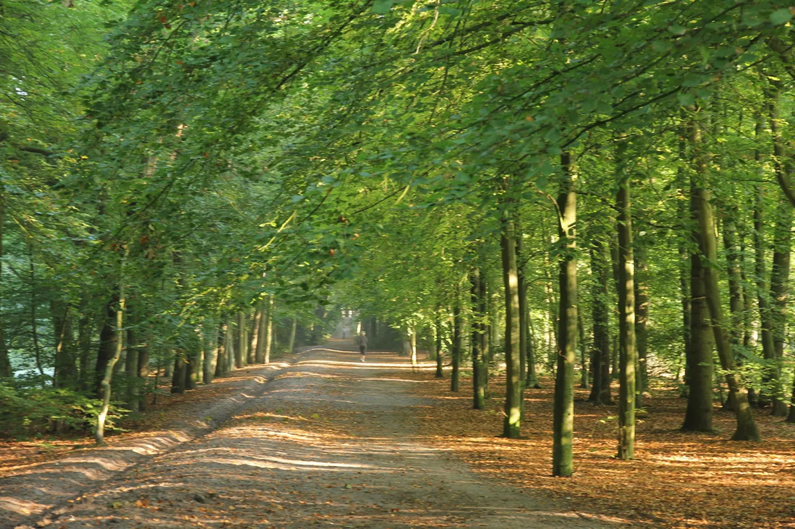 De Reker Zon-Areas summer 1km