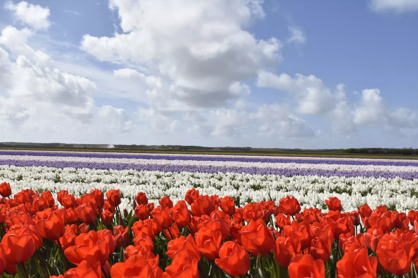 De Reker Zon-Areas summer 5km
