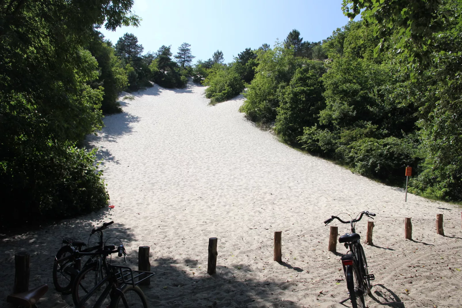 De Reker Zon-Areas summer 5km