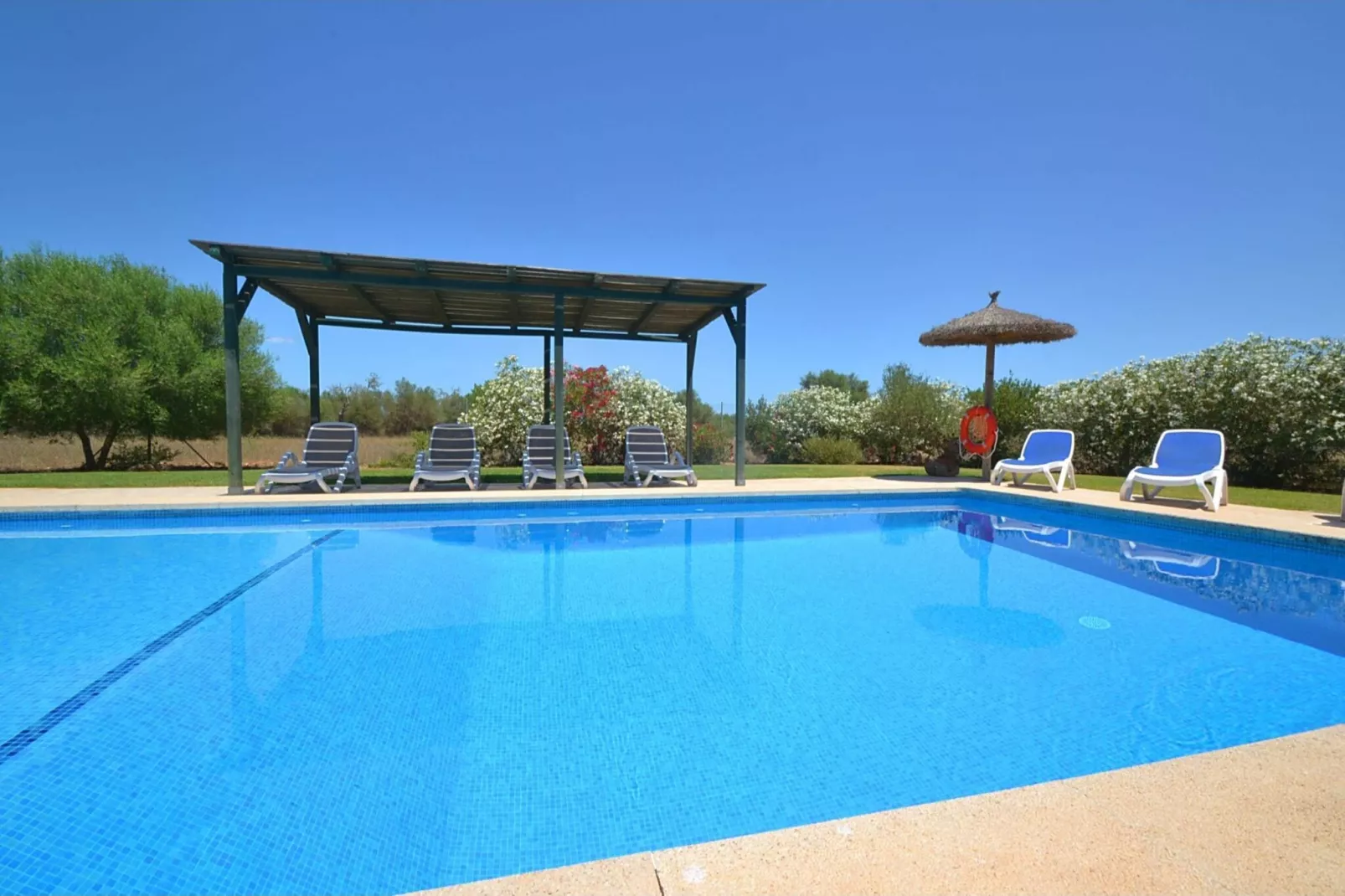Xim Vell-Pool