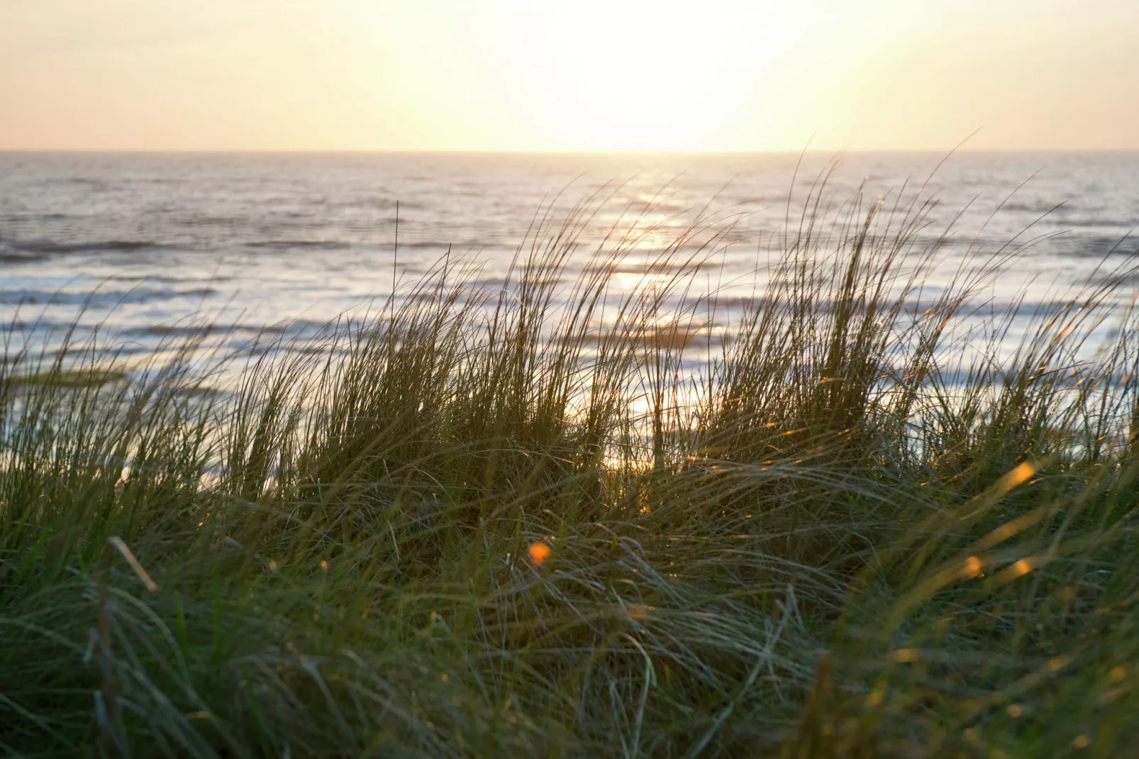 De Reker Zon-Areas summer 20km