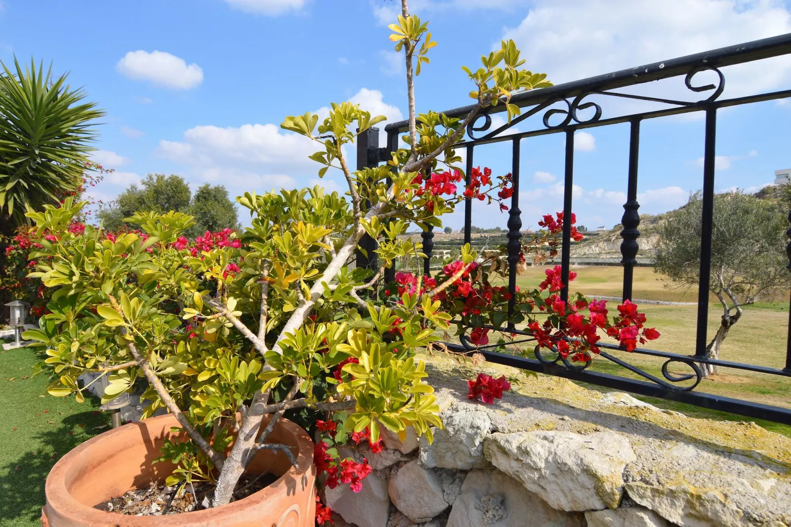 Villa Orange-Jardin d'été